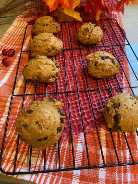 Pumpkin Chocolate Chip Cookie – ExtraWhiteGold
