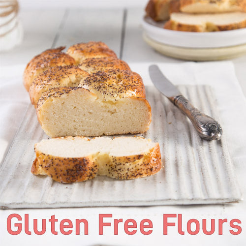 Extra White Gold Gluten Free Flours and Baking Mixes – ExtraWhiteGold